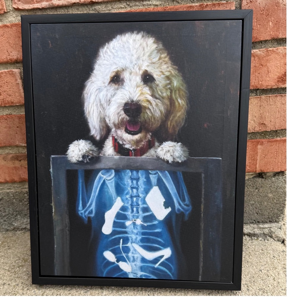 Funny Dog X-Ray Framed Canvas Art Goldendoodle Poodle Pet Humor Wall Decor